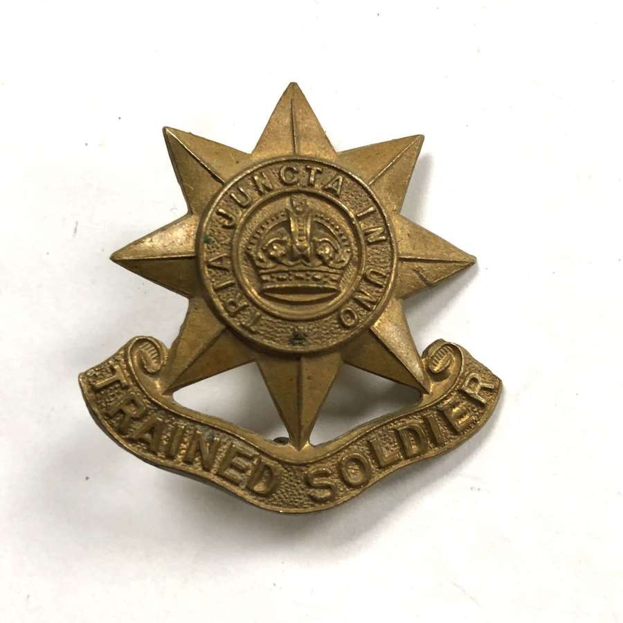 Guards Trained Soldier’s arm badge
