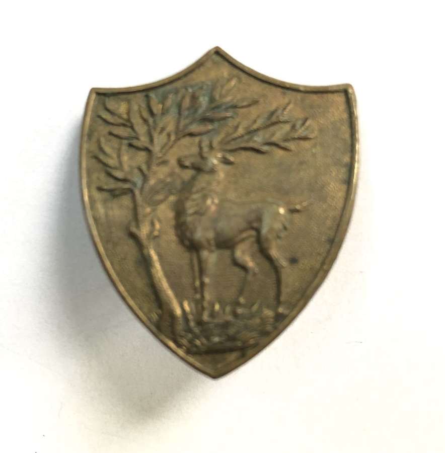Windsor Grammar School OTC/CCF Berkshire bronze cap badge